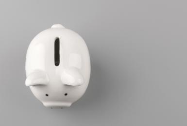 Piggy Bank 