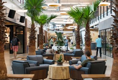 People in the lobby of Hula with palm trees and casual seating