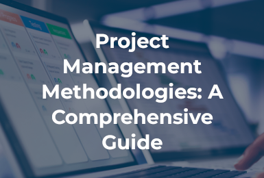 person working on project management software with title of blog overlaid