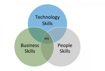 Venn diagram depicting information systems management skills