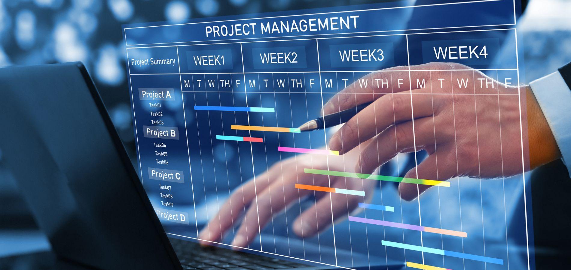 Top 10 Software Project Management Tips for Success