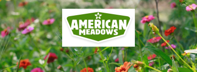 American Meadows Flowers with the logo