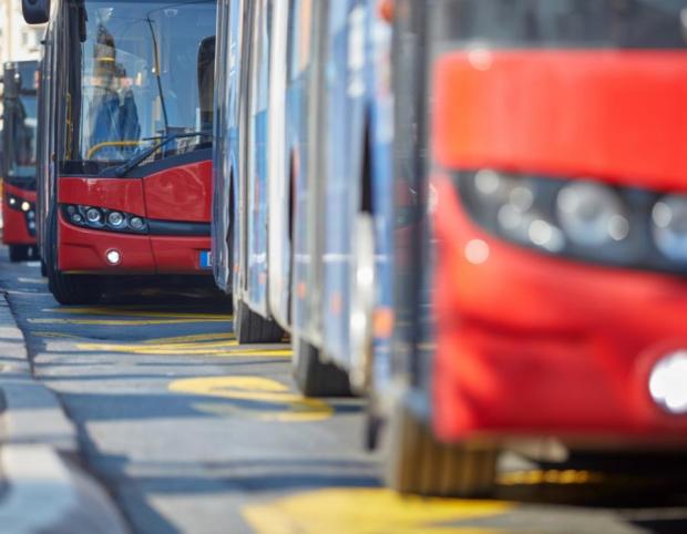 Red public buses waiting in line on street